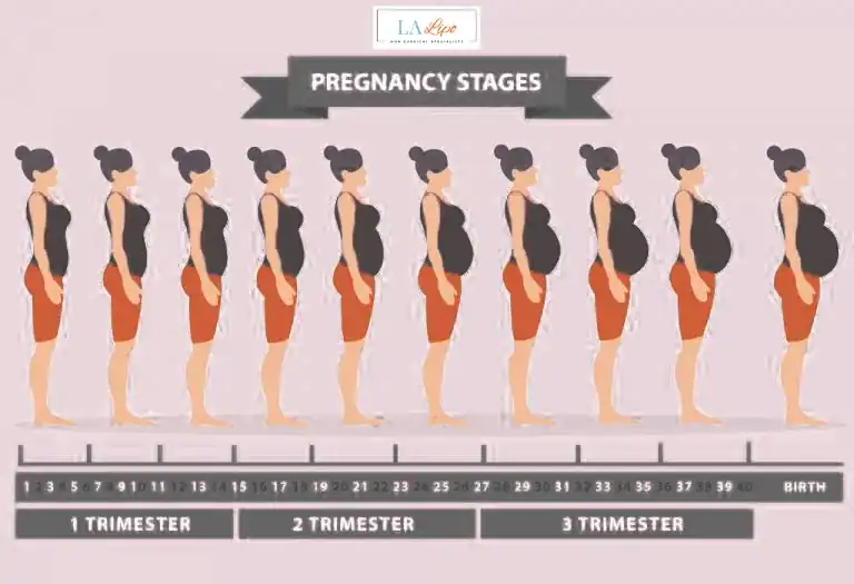 First Trimester (Weeks 1–12): Early Changes You Might Not Notice